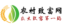 农村致富网