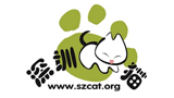 深圳猫