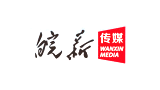 安徽新华电子音像出版社