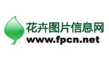 花卉图片信息网
